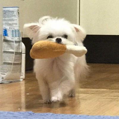 铁算算盘4887 论坛5