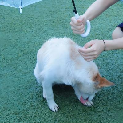 7777788888888精准和777778888888哪个好用3