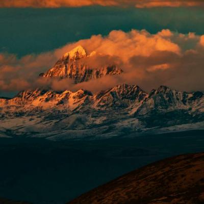 7777788888888免费管家软件下载1