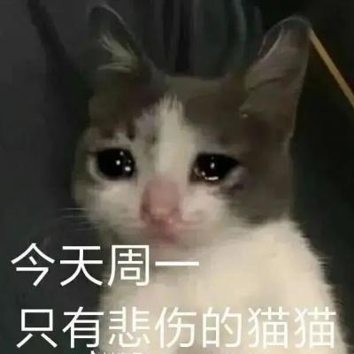 46008小鱼儿玄机2站开4