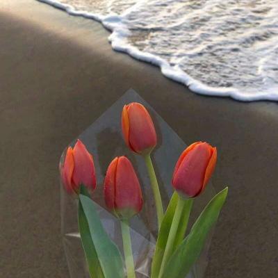 新门内部资料最准确更新时间2