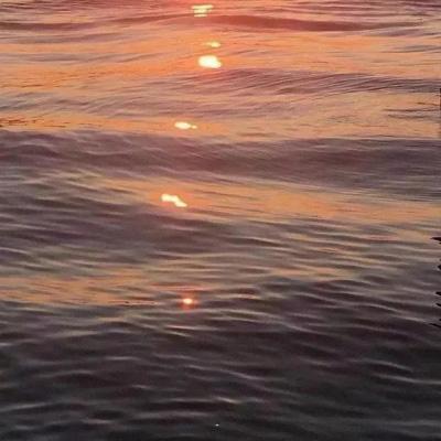 2025新资料免费大全5