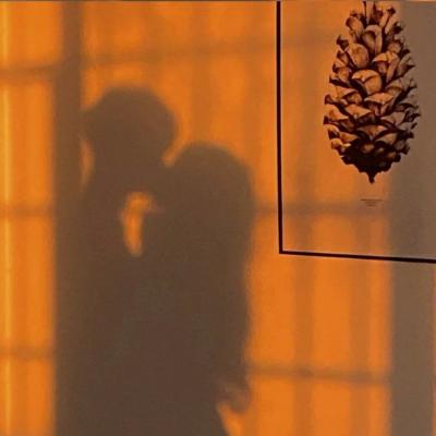 78222数理论坛分析九龙图12