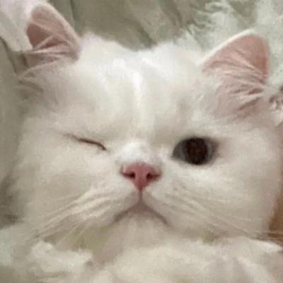 白小姐今晚特马开奖结果直播2