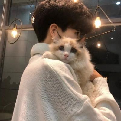 大三巴资料免费提供最新版2