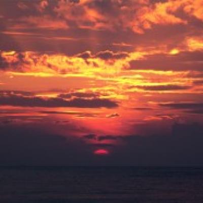 正版通天论坛官方网站3