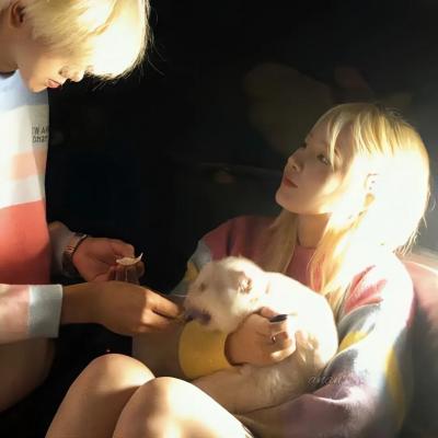 111153金光佛论坛最新动态2