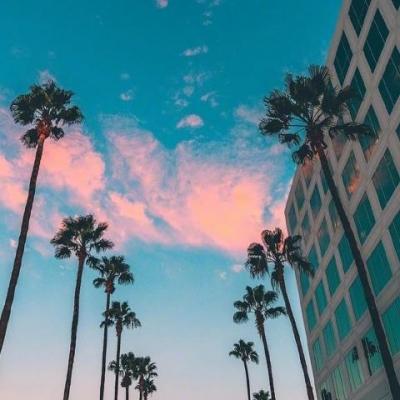 澳门管家一肖一特中下一期预测1