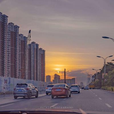 626969网站论坛下载入口5