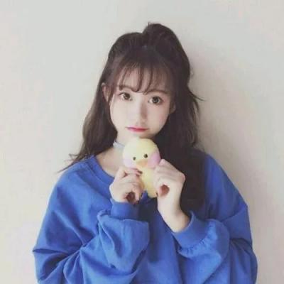 湖南成普信息科技管家婆