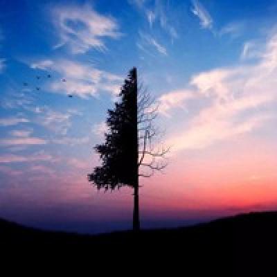 62249网站登录入口