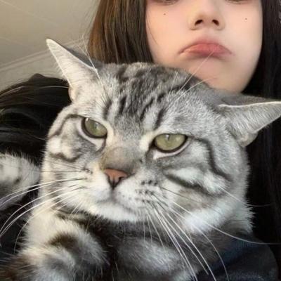 宁波高端网站建设推广