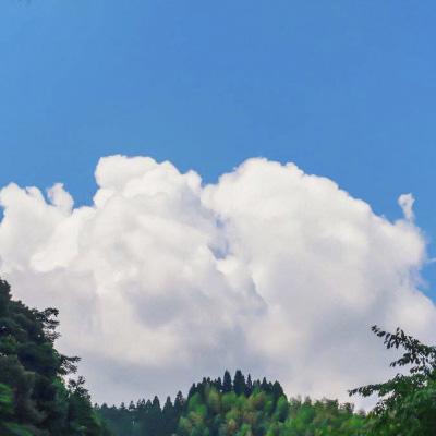 阿里妈妈推广网站