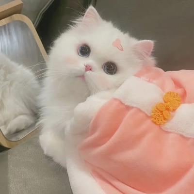 时时彩网站推广