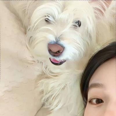 481111鬼谷子神算论坛开奖