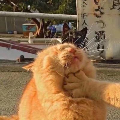 深圳网站推广费用