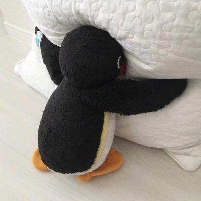 seo网站推广的主要目的