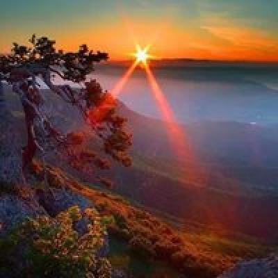 杭州网站优化推广