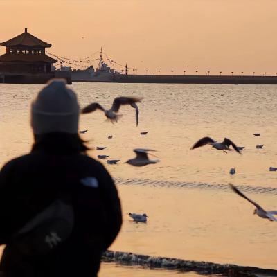 武汉企业网站推广