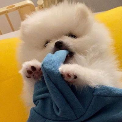 网站的推广方式