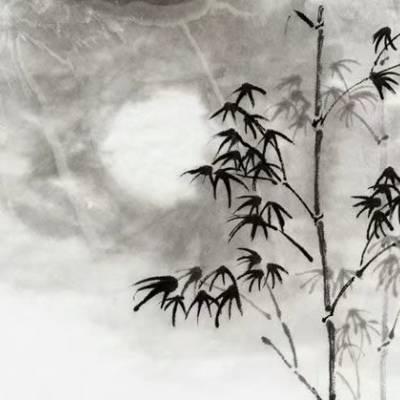 淘宝客推广我的网站