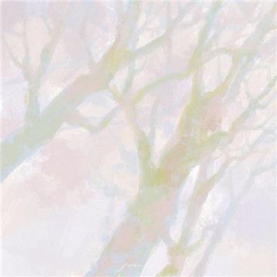 哪些网站可以做推广