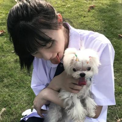 如何推广公司网站