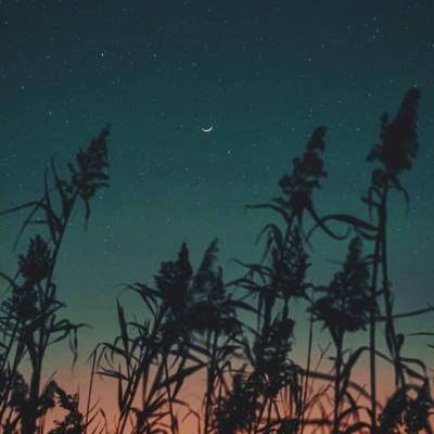 网站推广怎么做