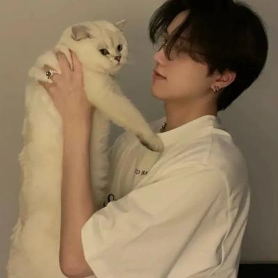 广州网站优化推广哪家好