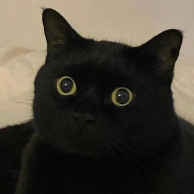 网站推广方案模板