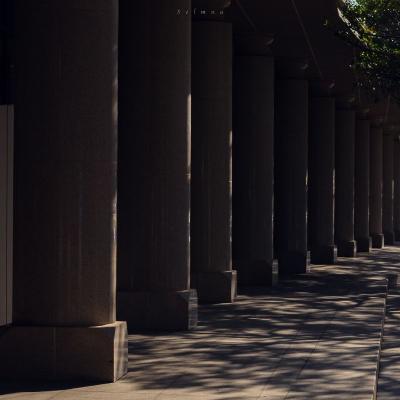 澳门一肖一马一恃下一期预测