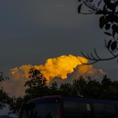 山海经论坛免费资料大全