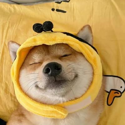 澳门大三巴和一肖二肖