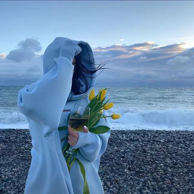 企业网站推广方案