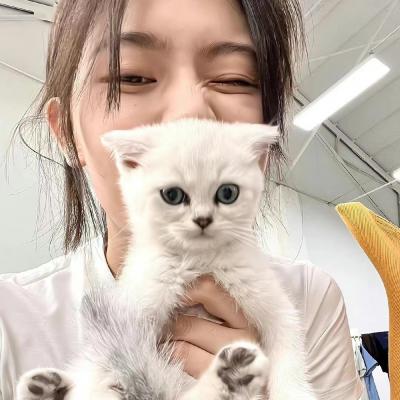 网络推广网站推广