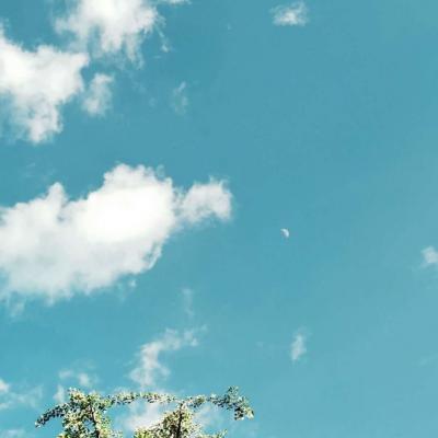 网站建设网站推广