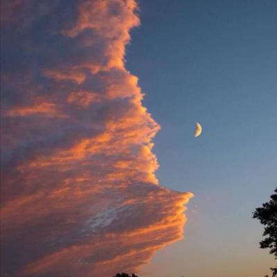 苏州网站推广优化公司