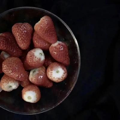 如何推广手机网站