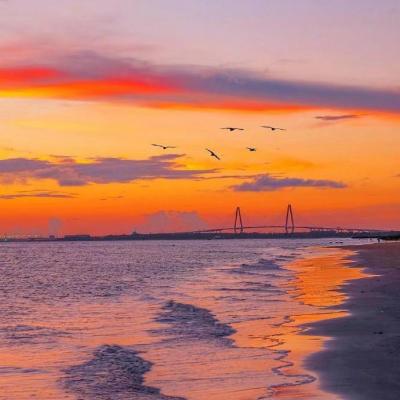 seo网站优化推广多少钱