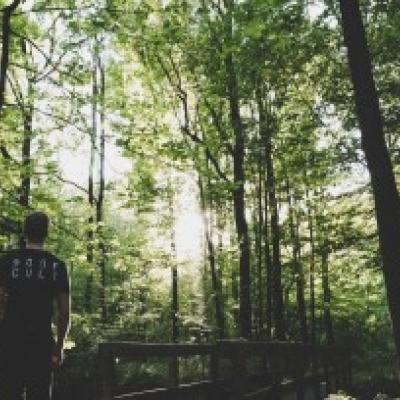 网站推广的工作