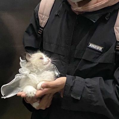 新澳门天天免费谜语题