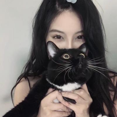 临沂seo网站推广