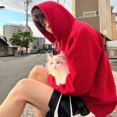 深圳seo网站推广