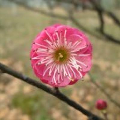 企业网站建设推广