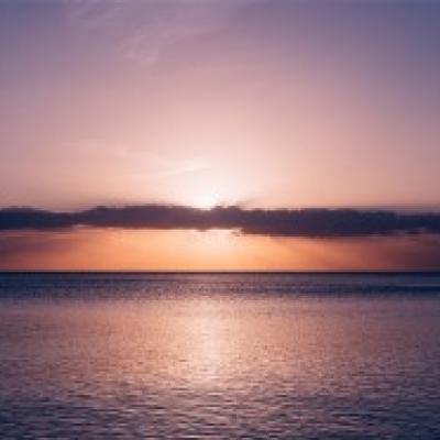 网站怎样免费推广