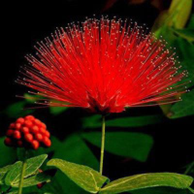 上海网站推广公司