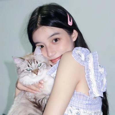 石家庄网站推广