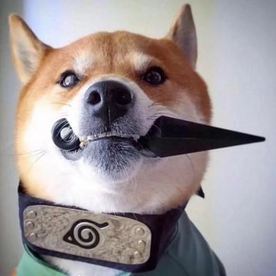 驻马店网站推广