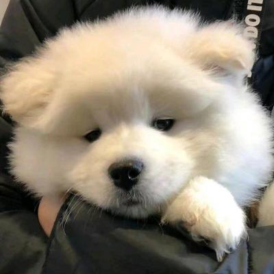 网站推广公司铭心