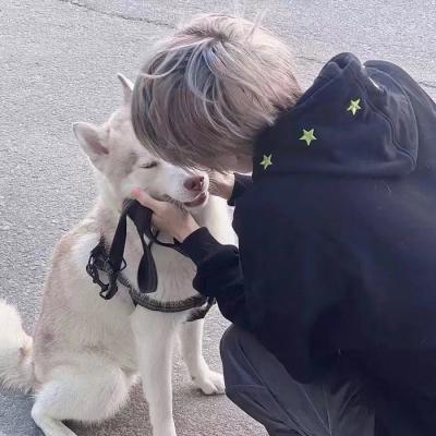 481111鬼谷子神算论坛